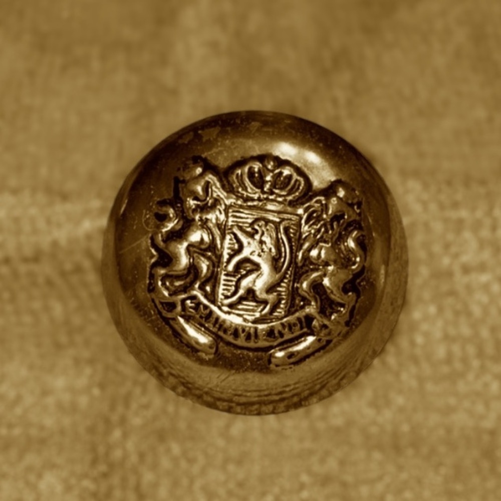 1 Inch Vintage Brass Coat of Arms Button | Used | Perfect for Collectors!